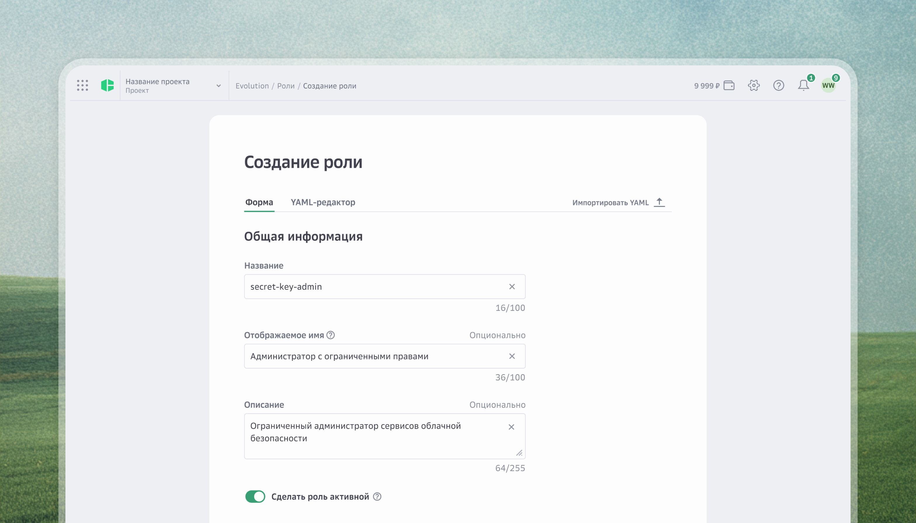 Форма с общей информацией для новой пользовательской роли